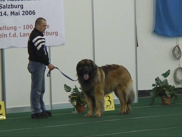 Salzburg Clubschau Mai 06 164 